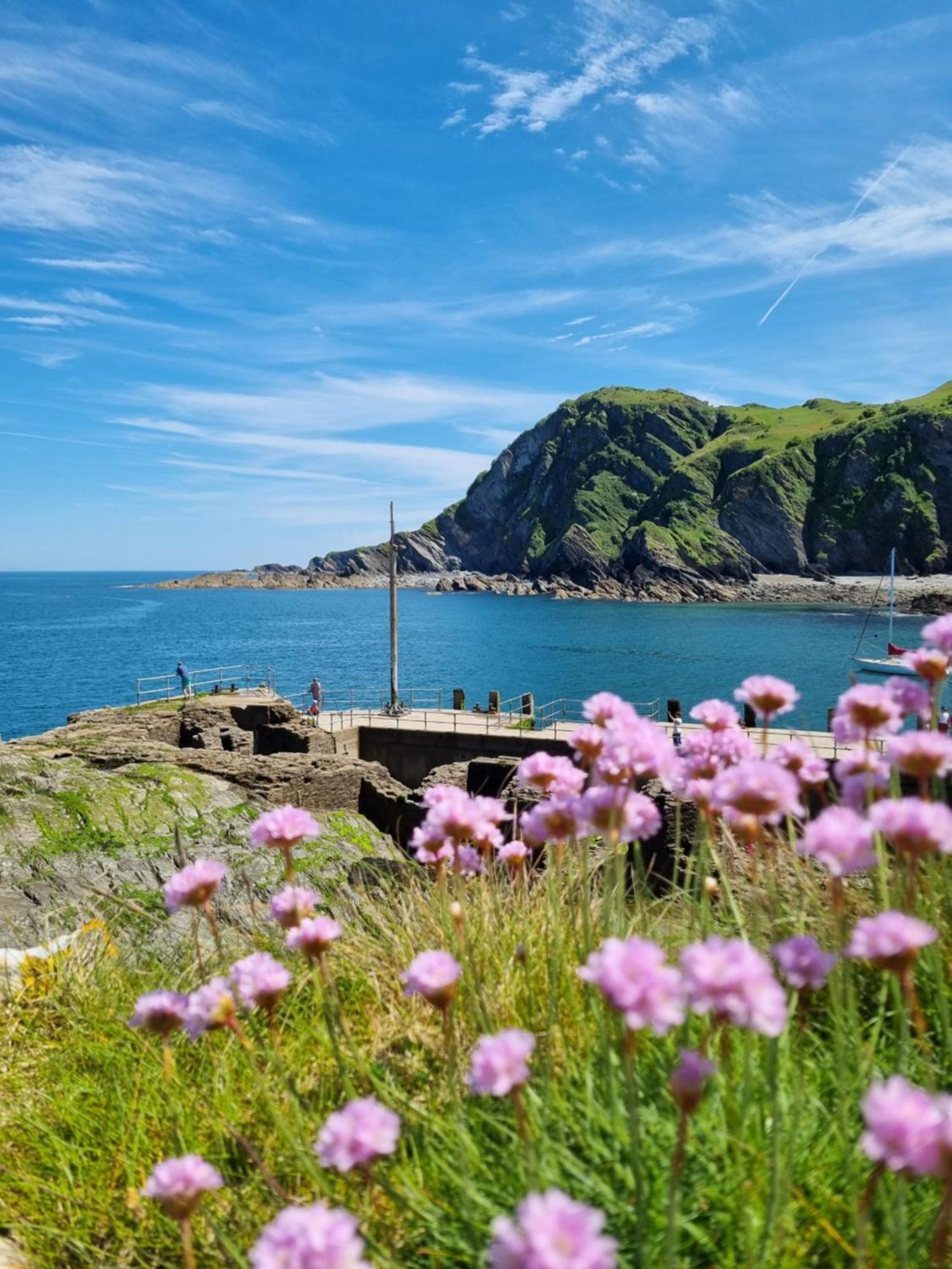 Sandpiper Cottage: Cosy Home Near The Beach Woolacombe Eksteriør billede